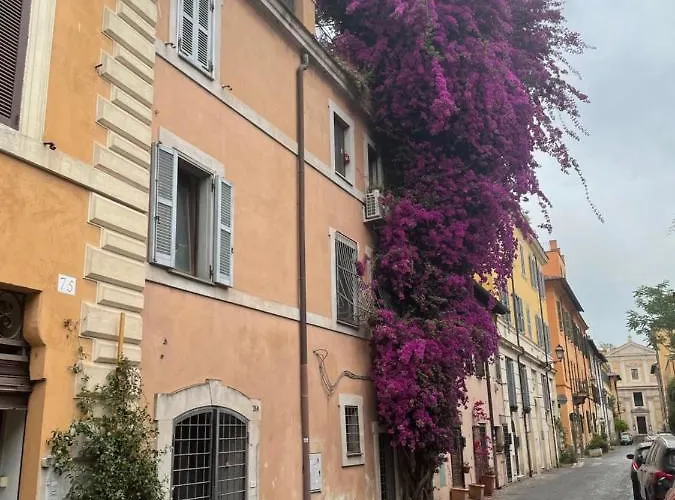 Appartement La Maison B8 *
